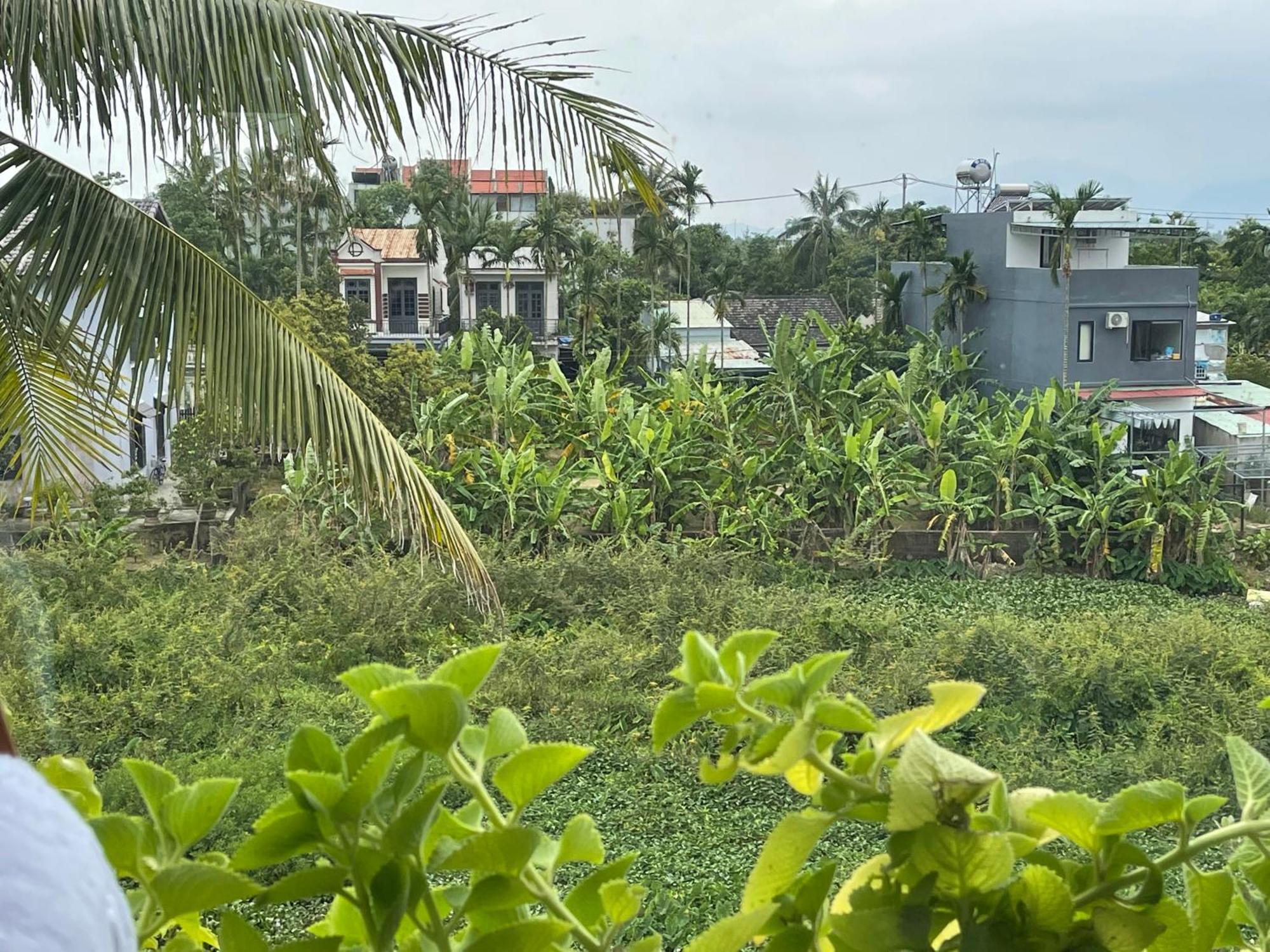 Hoi An Ti Hon House Villa Екстериор снимка